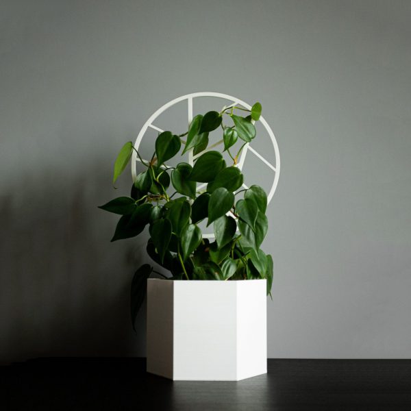 Podpórka dla rośliny w kształcie koła – biała