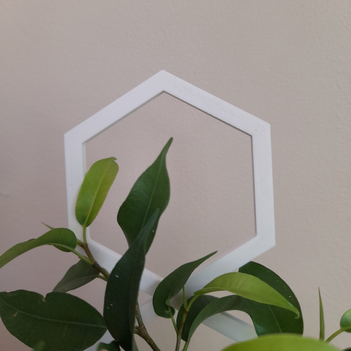Podpórka do roślin pnących w kształcie sześciokąta – biała