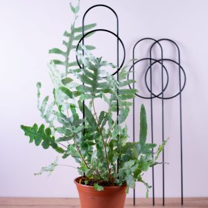 Duża metalowa podpora do roślin LALUNA - czarna