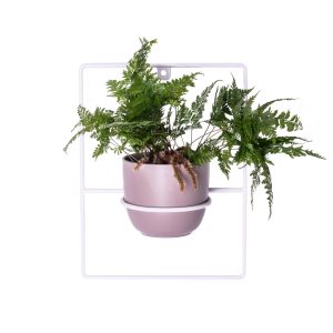 Metalowy kwietnik ścienny PILEA